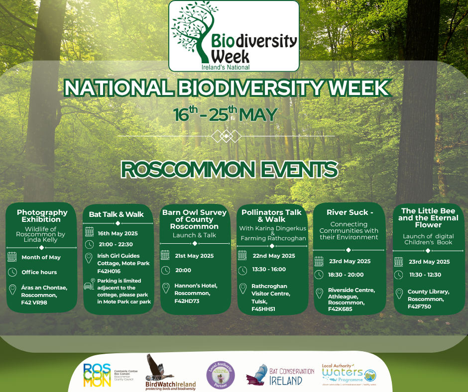 Roscommon-Events Roscommon-Events
